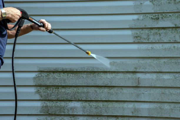 Best Patio and Deck Pressure Washing  in Rocky Point, NY